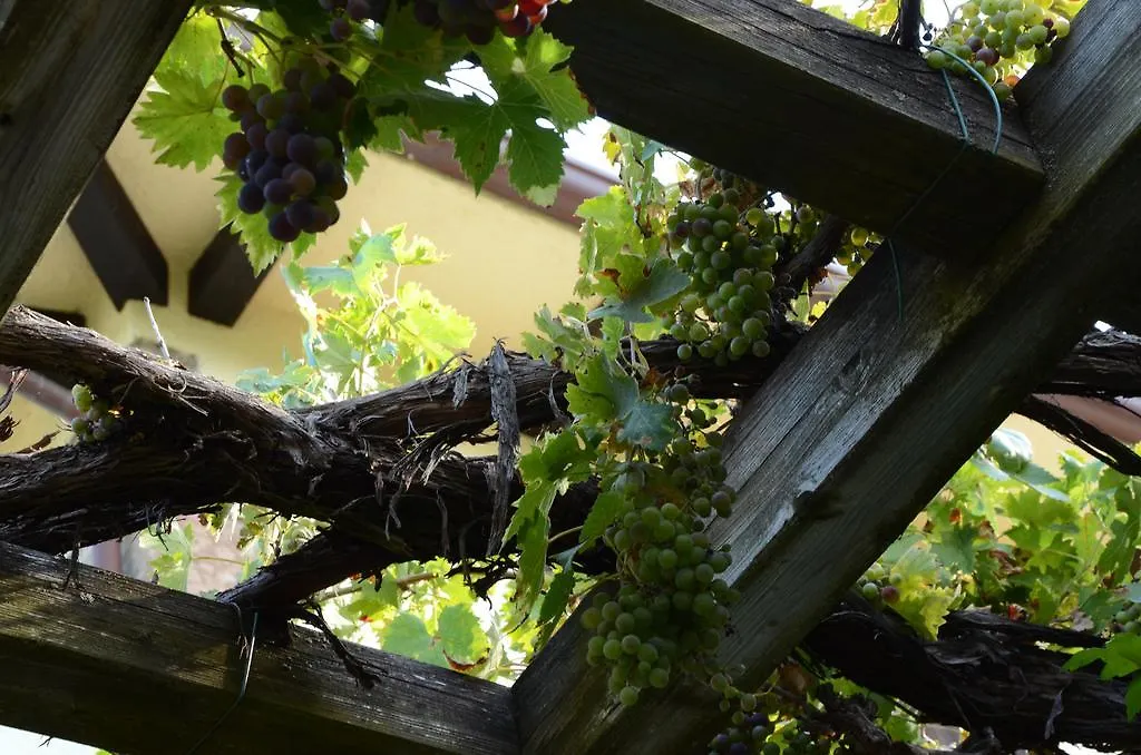 Albergo Pian Del Bosco Novafeltria